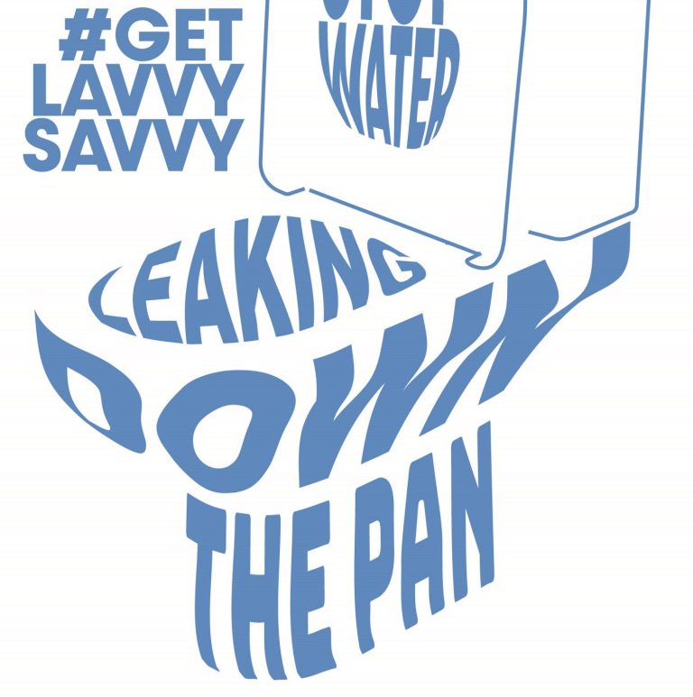 The BMA is creating a ripple with its waste-awareness #GetLavvySavvy campaign to encourage consumers to be more water-waste aware. get Lavvy Savvy